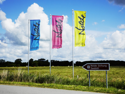Drei bunte Nolde-Flaggen wehen im Wind vor einem Hinweisschild der Nolde Stiftung Seeb&uuml;ll; im Hintergrund grasen K&uuml;he auf der Weide.