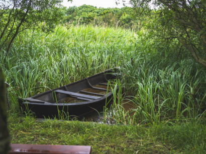 Idyllisk udsigt over Nolde-b&aring;den i Schmale, omgivet af siv.