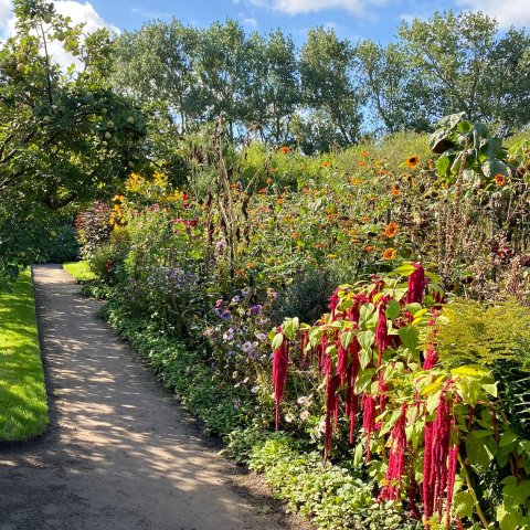 The Magnificent Artist&rsquo;s Garden